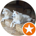 Anish Bhanu profile picture